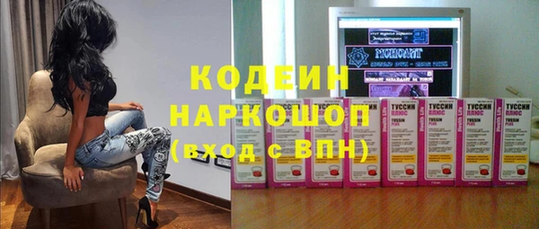 индика Нея