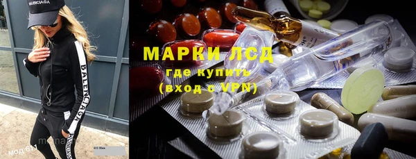 индика Нея