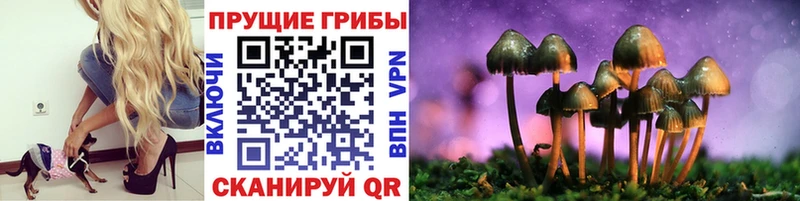 Галлюциногенные грибы ЛСД Камбарка